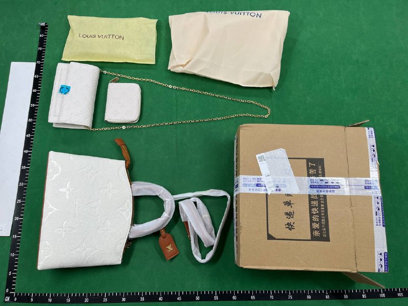Louis Vuitton Bag
