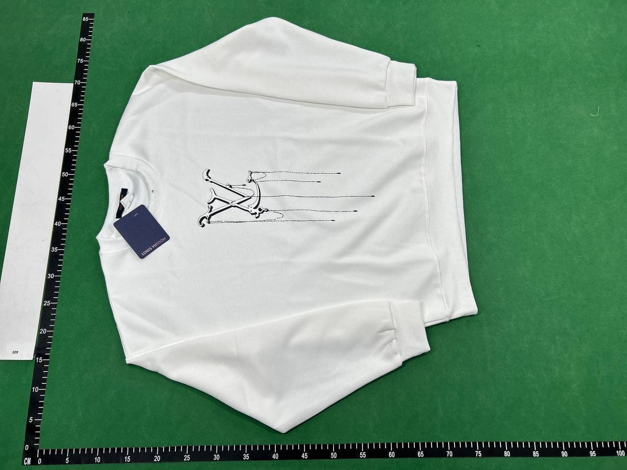 Balenciaga LV suit