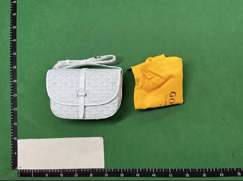 Goyard Bag