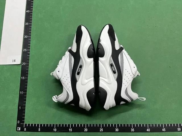 Dior B30 Shoes & Dior B22 B23 B25 Shoes
