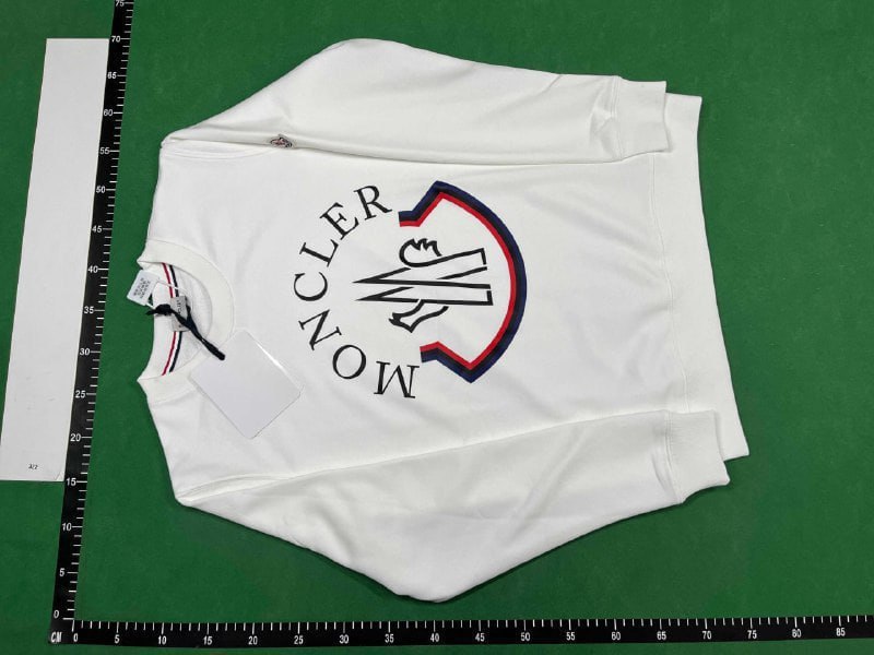 Moncler Hoodie Sweatshirt [Down Jacket Style]