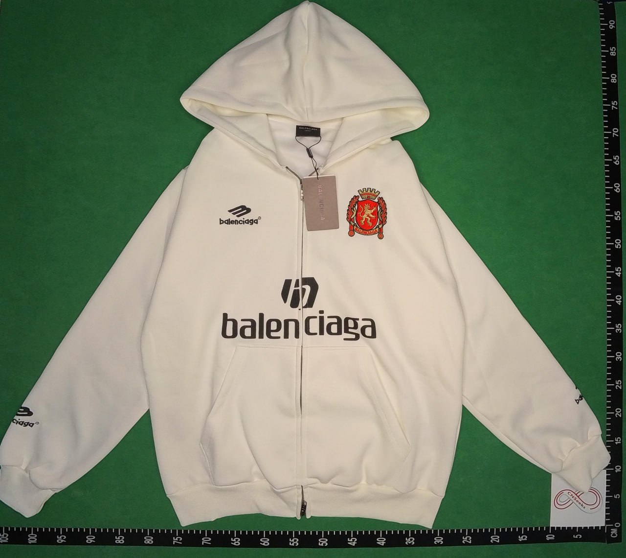 Balenciaga Hoodies [Multiple Styles Including B22, 01, and Distressed Logos]