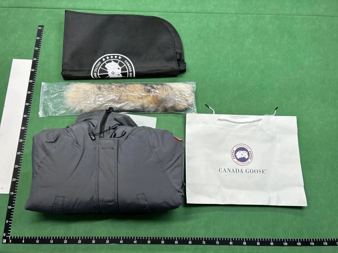 Canada Goose Downjacket（40+ Styles
