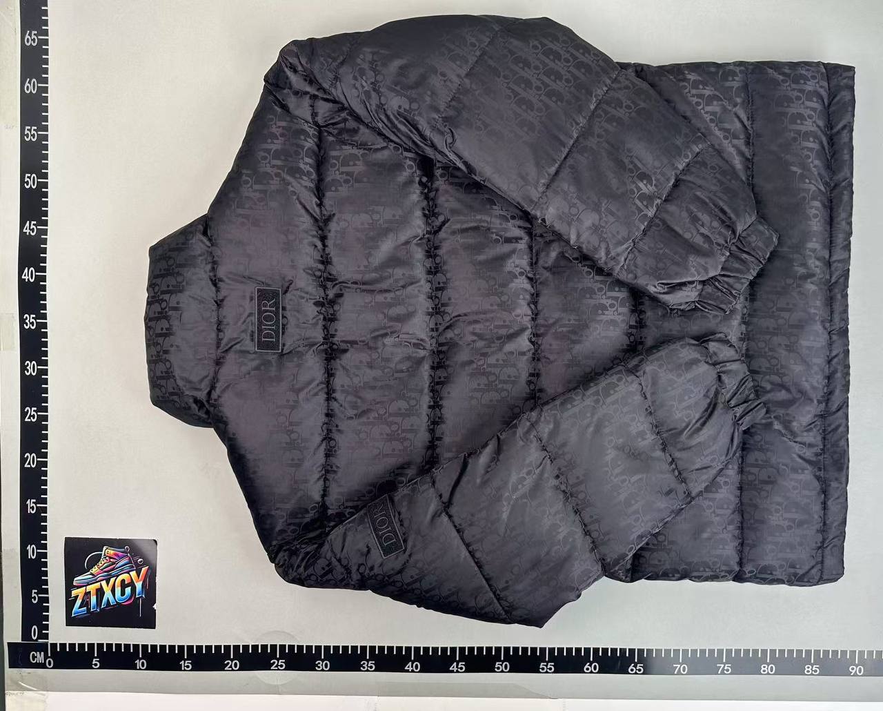 Dior Oblique Down Jacket [3 styles]