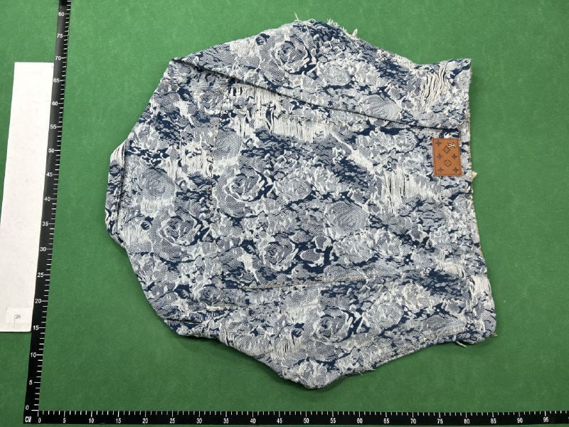 Louis Vuitton Denim Jacket [40 styles]