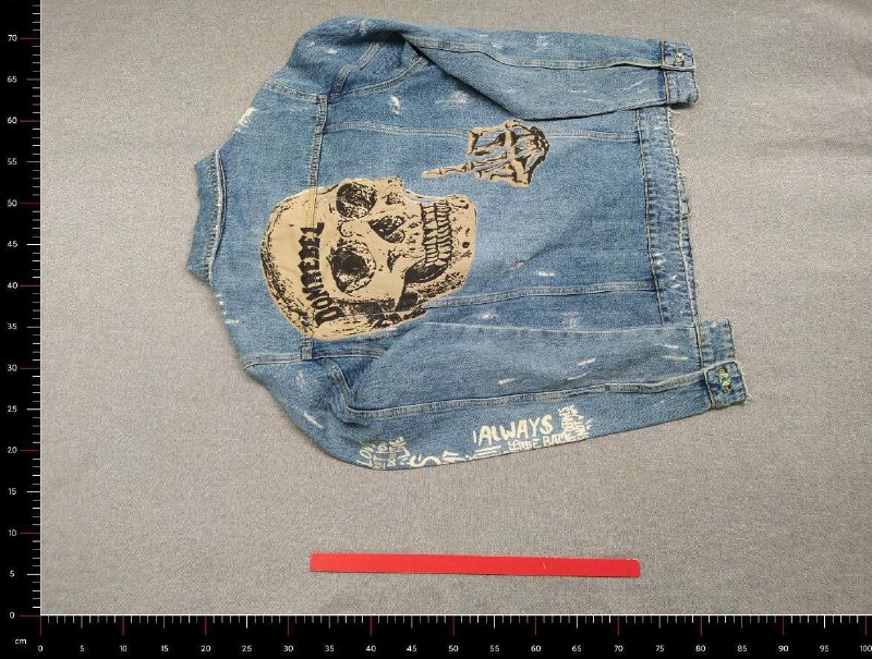 RienFeng Distressed Denim Jacket