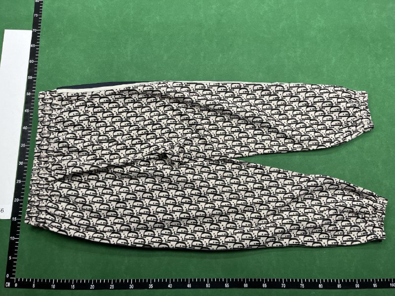 Dior Oblique Pants [8 styles]