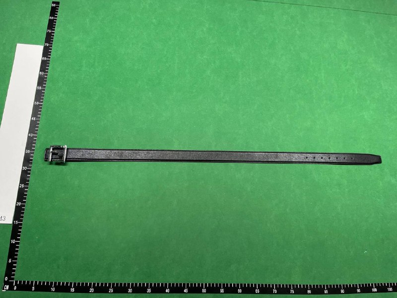 FENDI FF Logo Belt [40 styles]