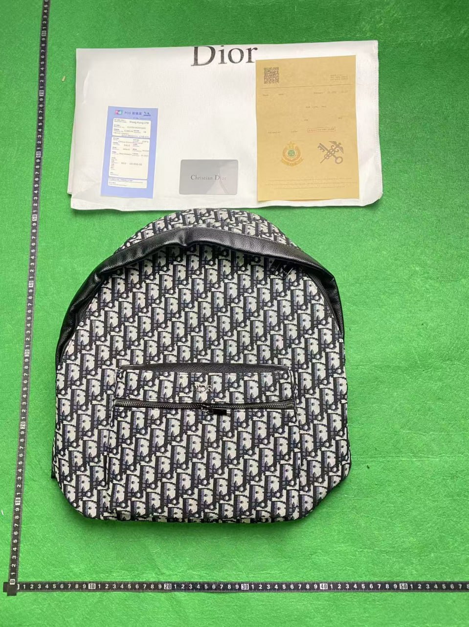 Louis Vuitton Monogram Pochette, Saint Laurent Loulou, Dior Oblique Backpack & Saddle Bag, Chanel Classic Flap [31 styles]