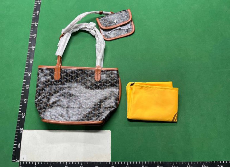 Goyard Saint Louis Tote Bag [40 styles]