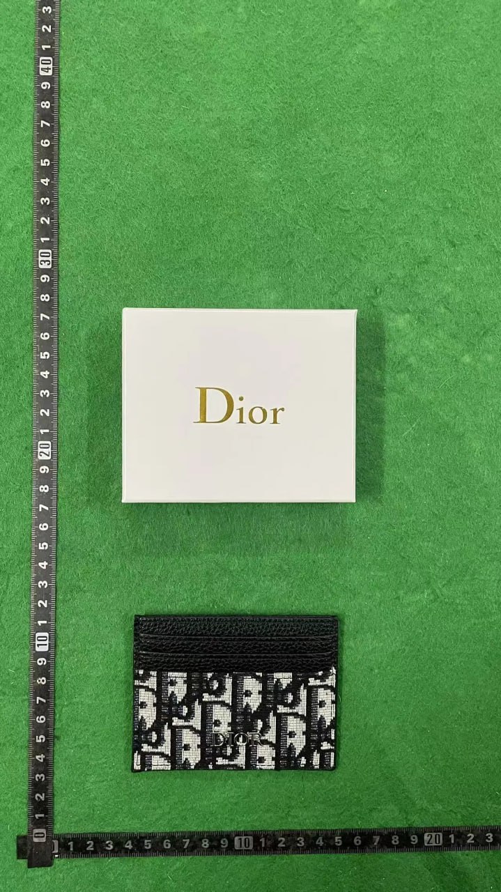 YSL Monogram, LV Monogram & Damier, Dior Oblique Card Holder [40 styles]