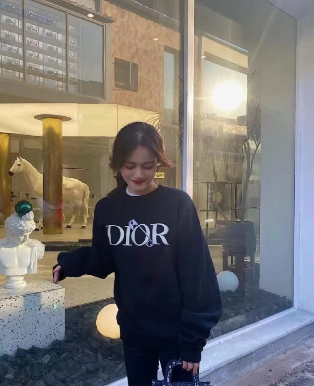 Dior CD Icon Hoodie/Sweater [27 styles]