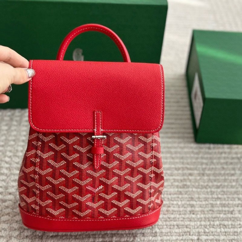 Goyard Saint Louis Backpack & Handbags [38 styles]