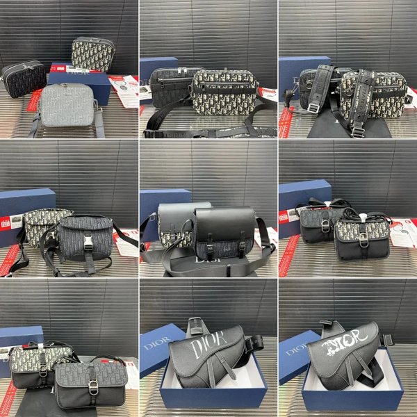 Dior Saddle Bag [40 styles]