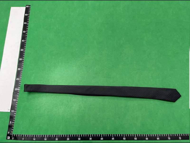 Louis Vuitton Monogram Tie [40 styles]