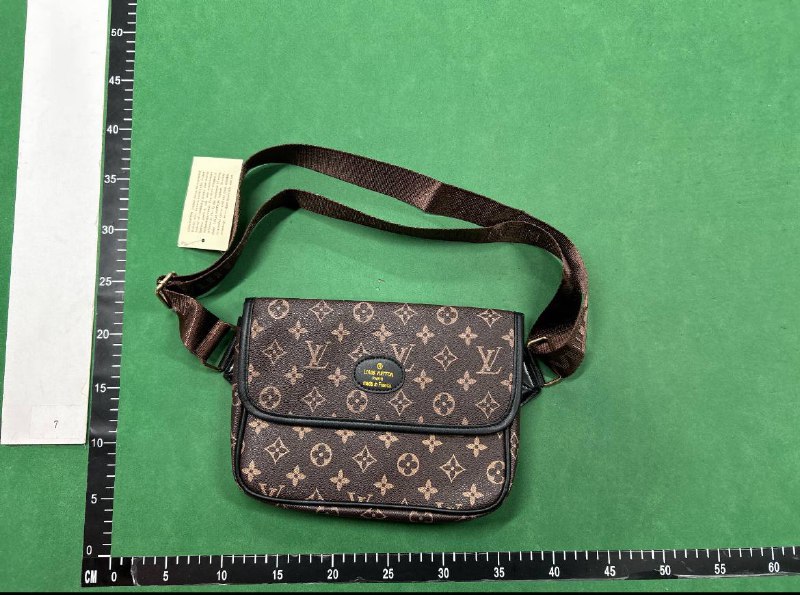 Louis Vuitton Monogram/Floral/Graphic Print Handbags [28 styles]