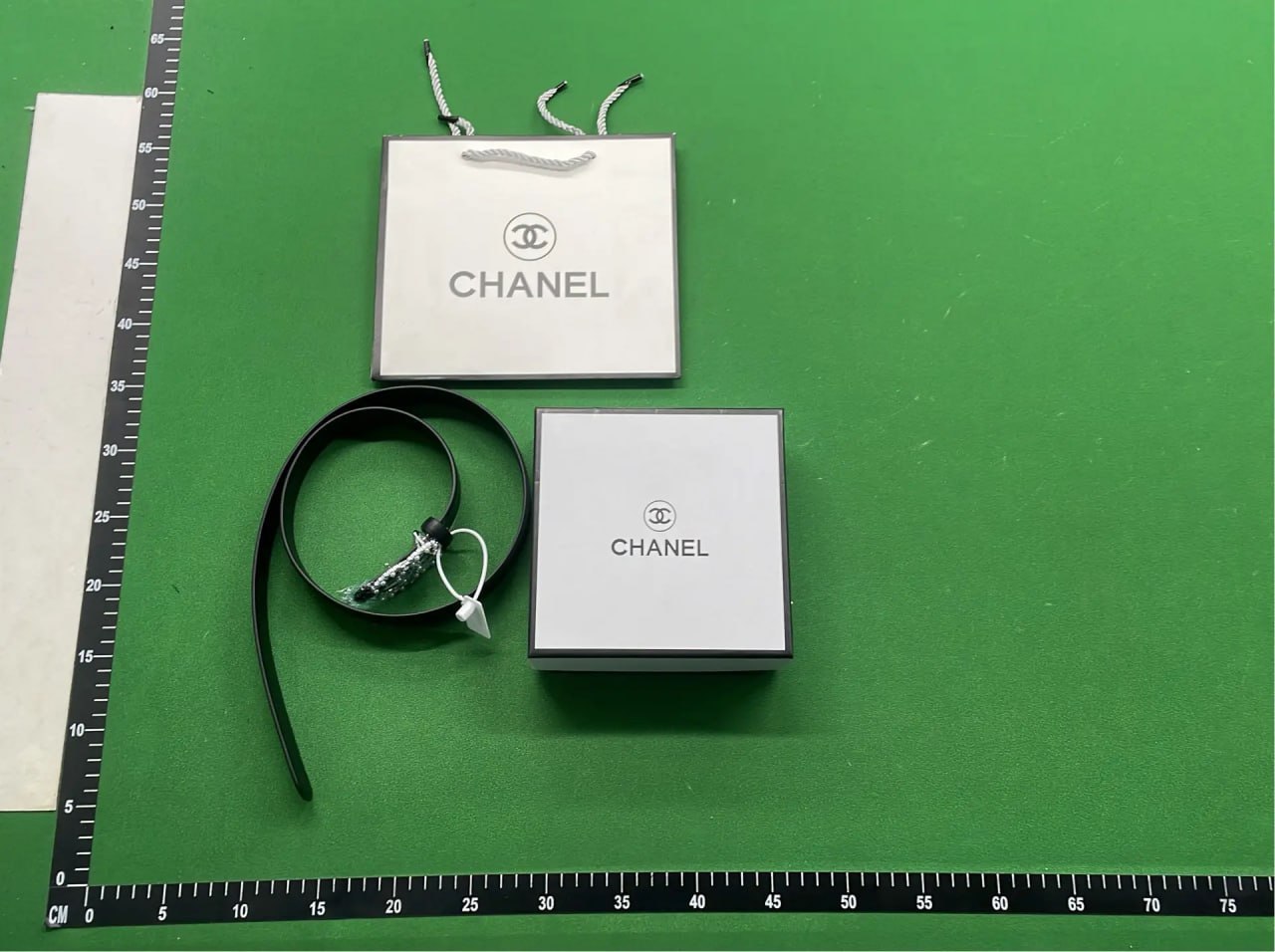 Chanel CC Buckle Belt [12 styles]